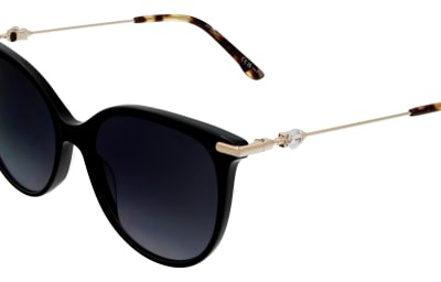 Pierre Cardin P.C.8528/S/807